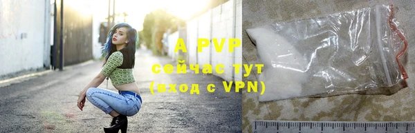 СК Липки