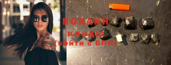 крисы Баксан