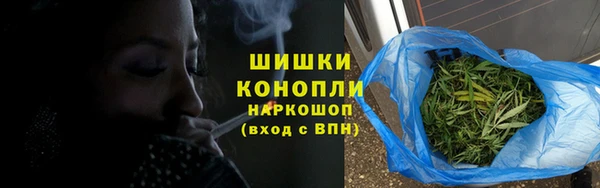 крисы Баксан