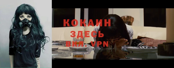 крисы Баксан