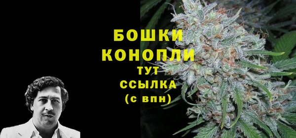 спиды Лиски