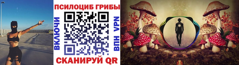 Псилоцибиновые грибы Psilocybe  Беслан 