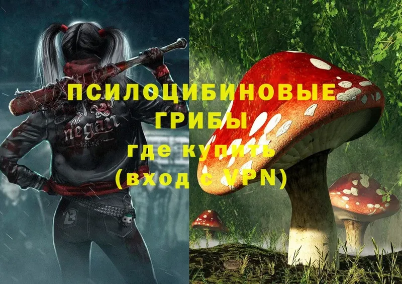 Псилоцибиновые грибы Cubensis  Беслан 