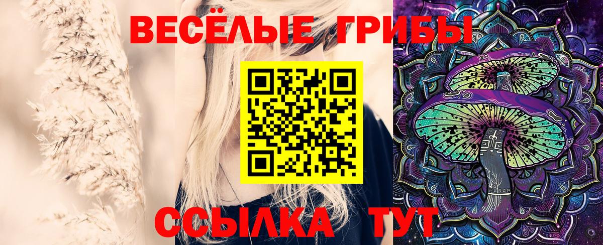 Беслан  Псилоцибиновые грибы мицелий  Вход с VPN  Псилоцибиновые грибы Magic Shrooms 